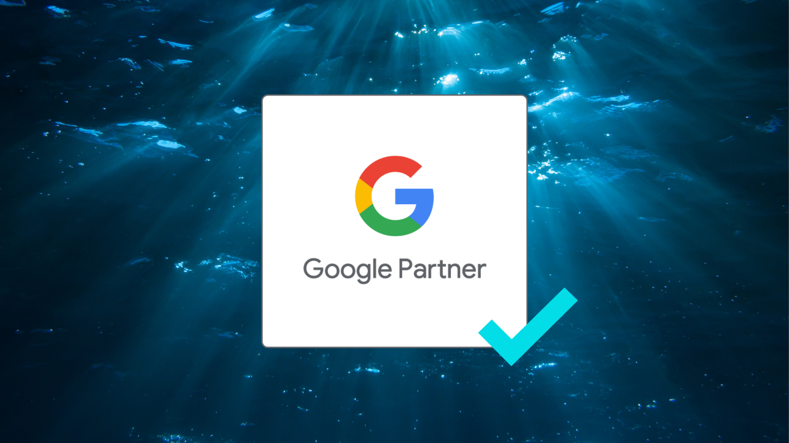 Header: VON DER SEE ist Google Partner!